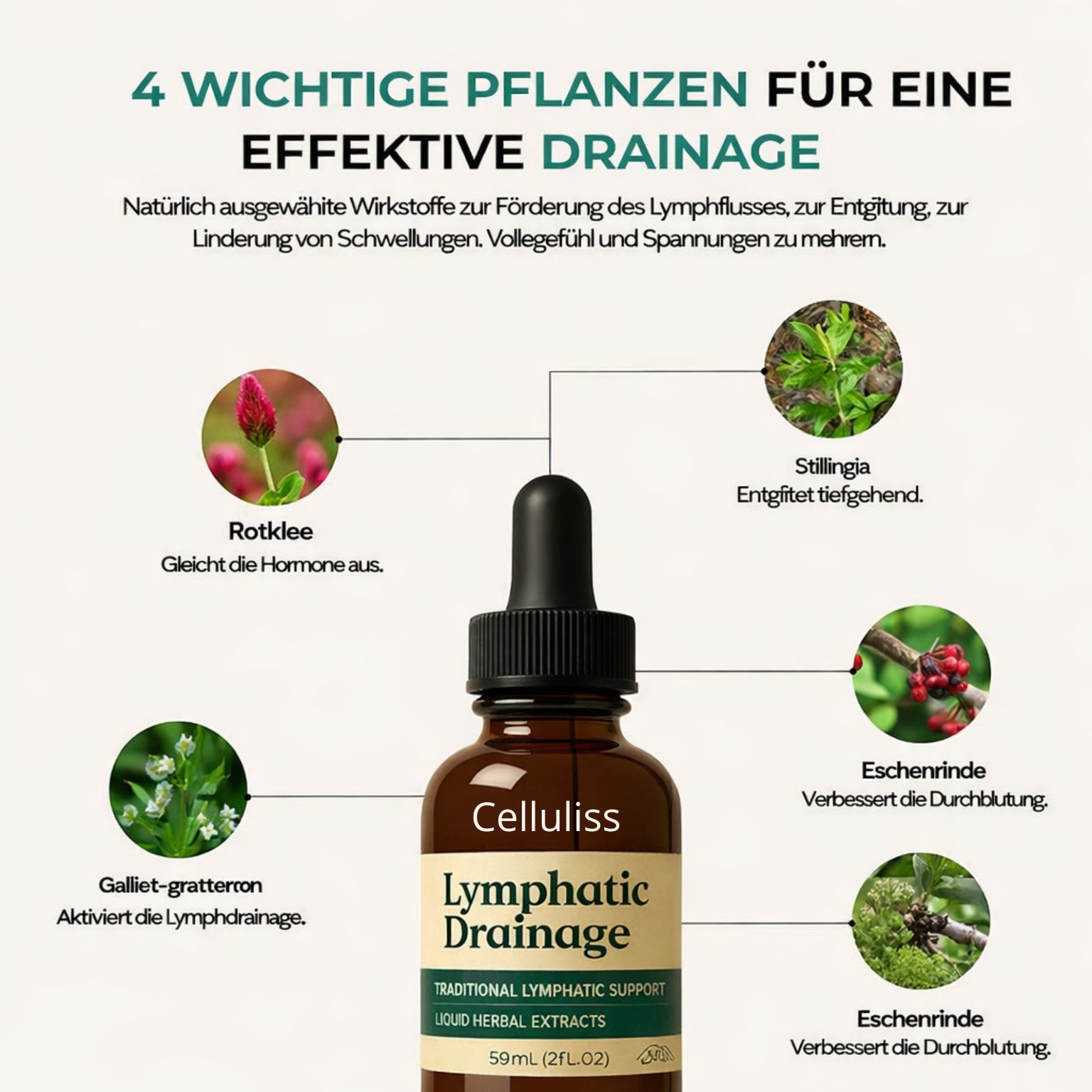 Lymphdrainage Wohlfühl-Tropfen